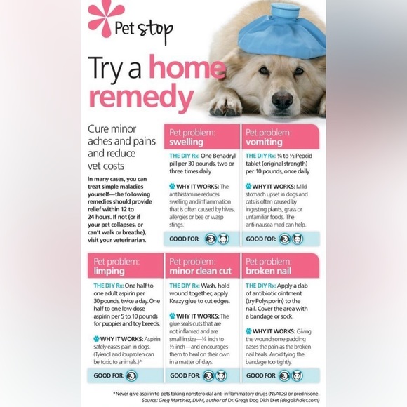 $1 DOG PIN/BROOCH. ENAMEL/METAL. NEW. $1 WITH ANY $10 ORDER OR MORE - Picture 8 of 16